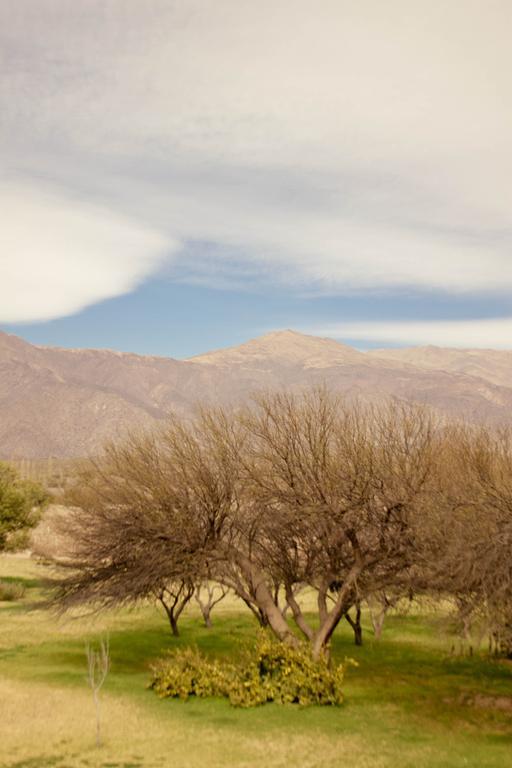 Altalaluna Hotel Boutique & Spa Cafayate Luaran gambar