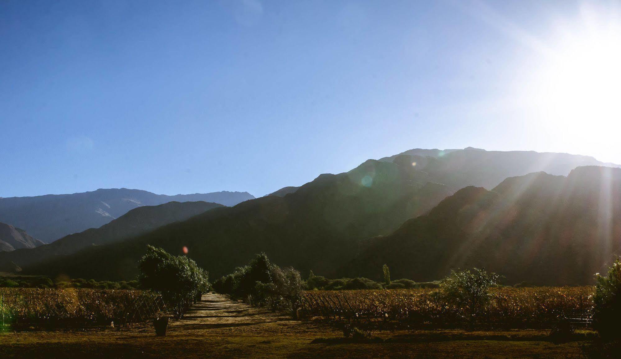 Altalaluna Hotel Boutique & Spa Cafayate Luaran gambar